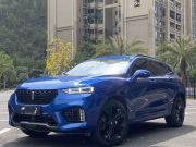 WEY VV7 2019款 升級(jí)款 2.0T 豪華型 國(guó)V